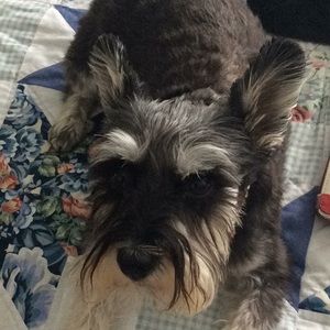 Meet your Posher, Tammi